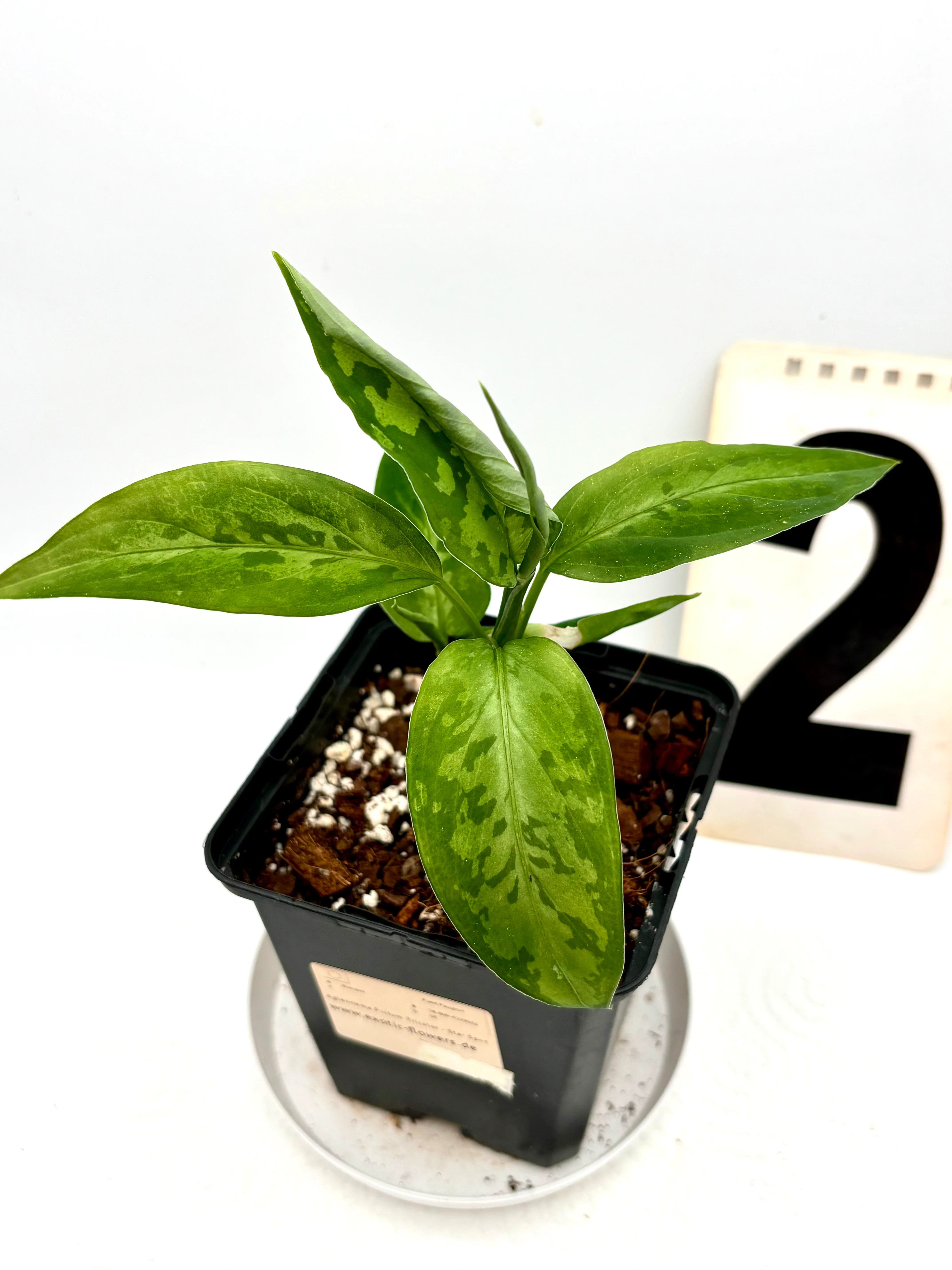 Produktbild 3
