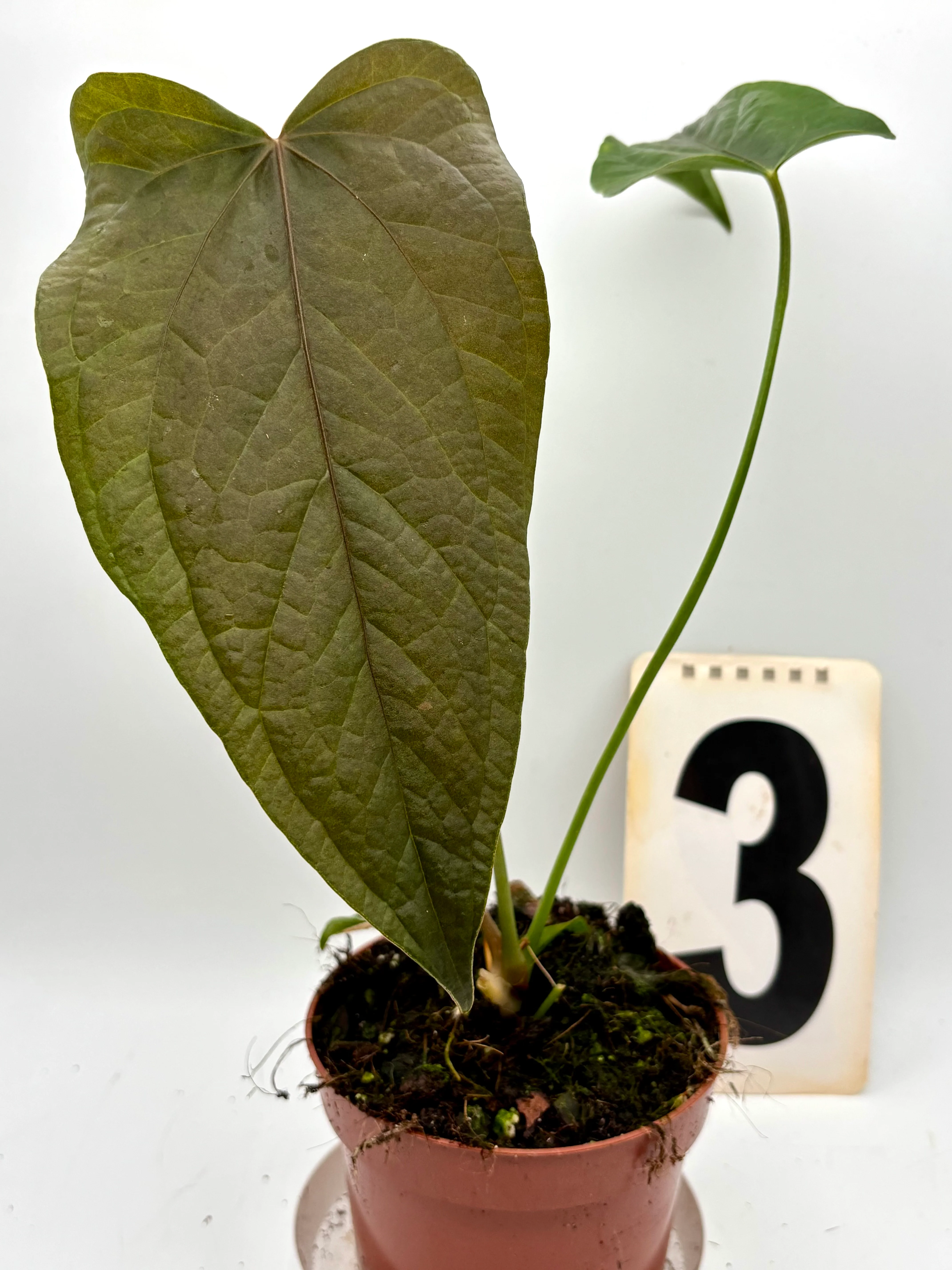 Produktbild 3