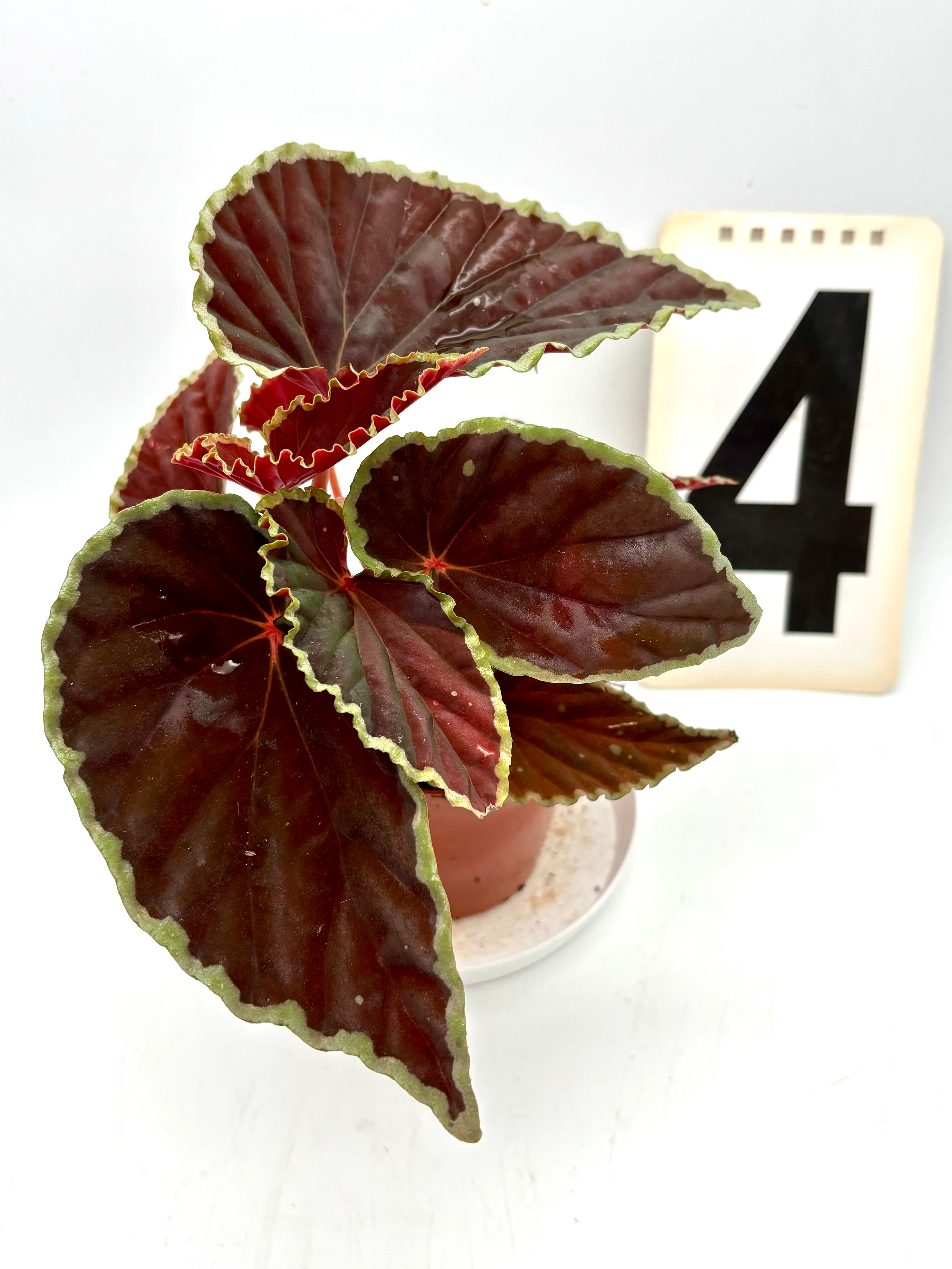 Produktbild 3