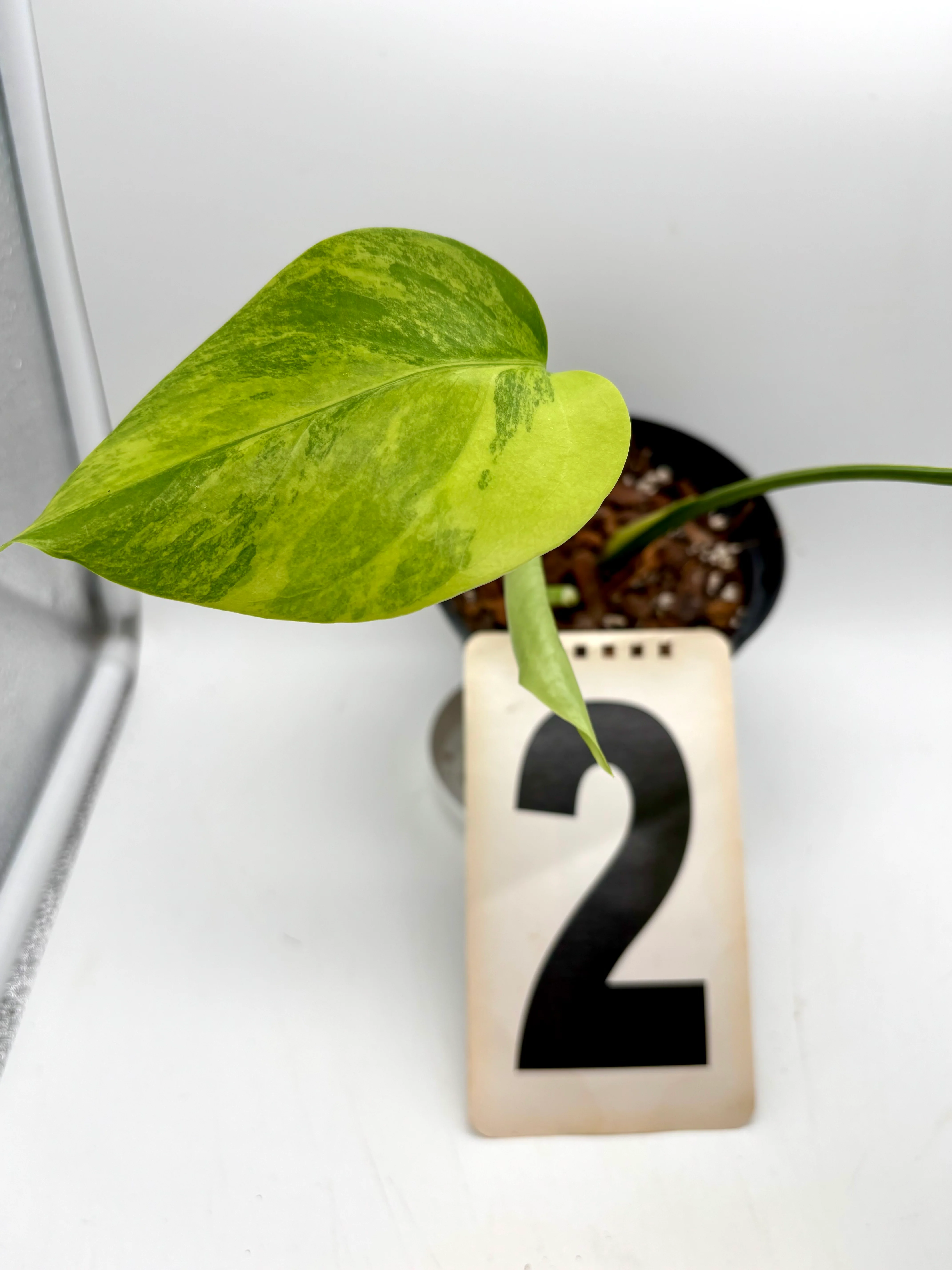 Produktbild 4