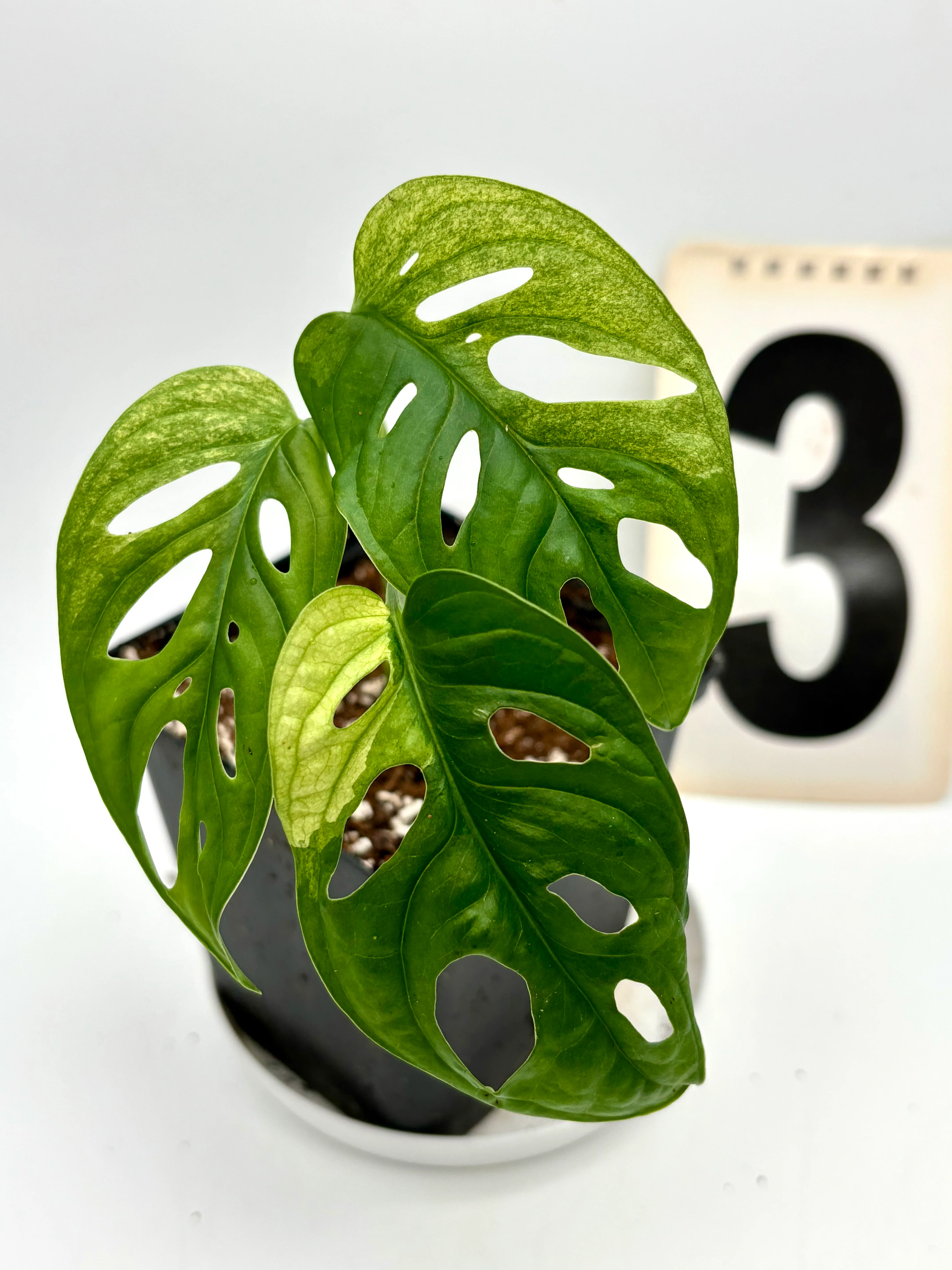 Produktbild 3
