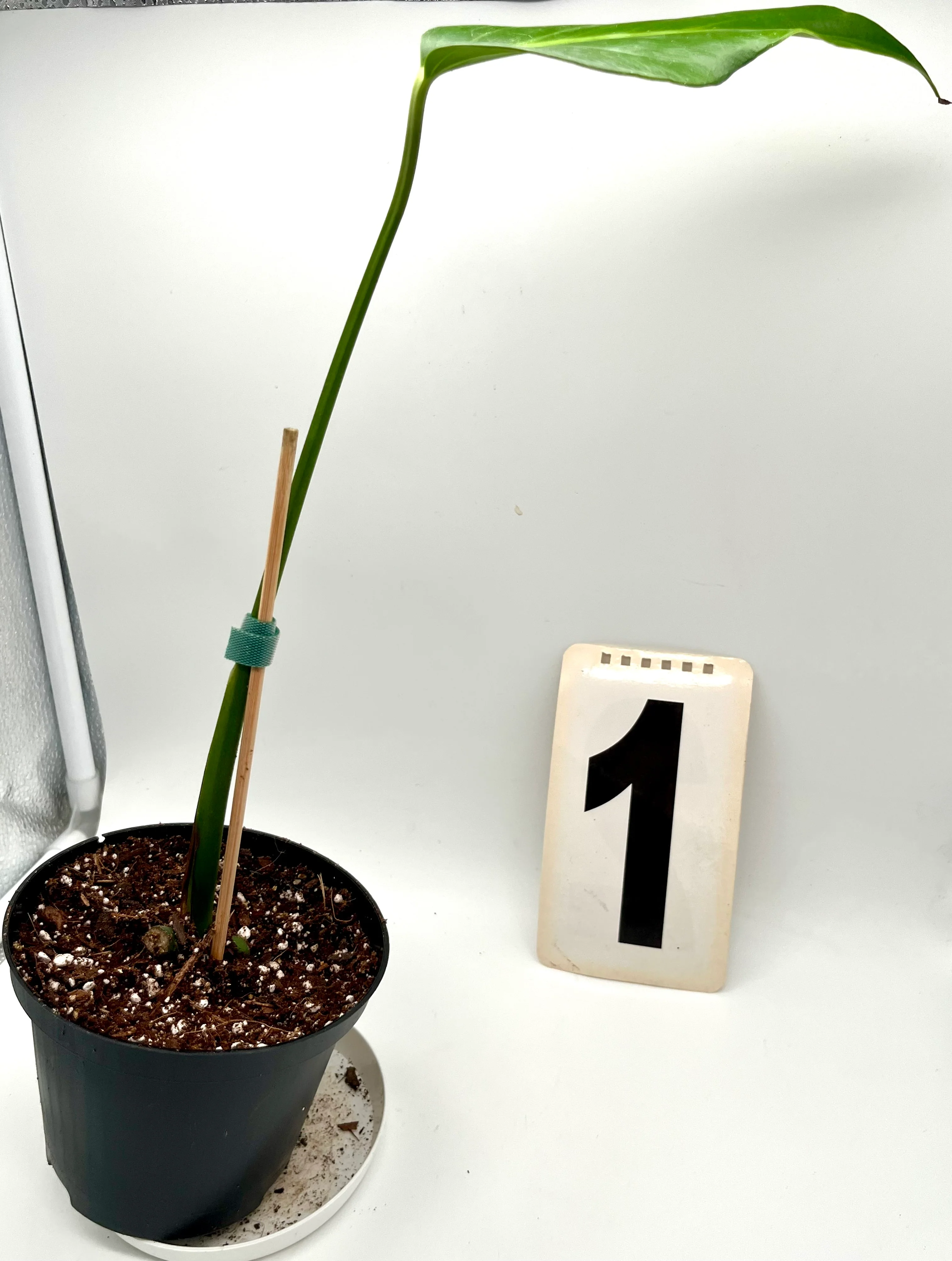 Produktbild 4