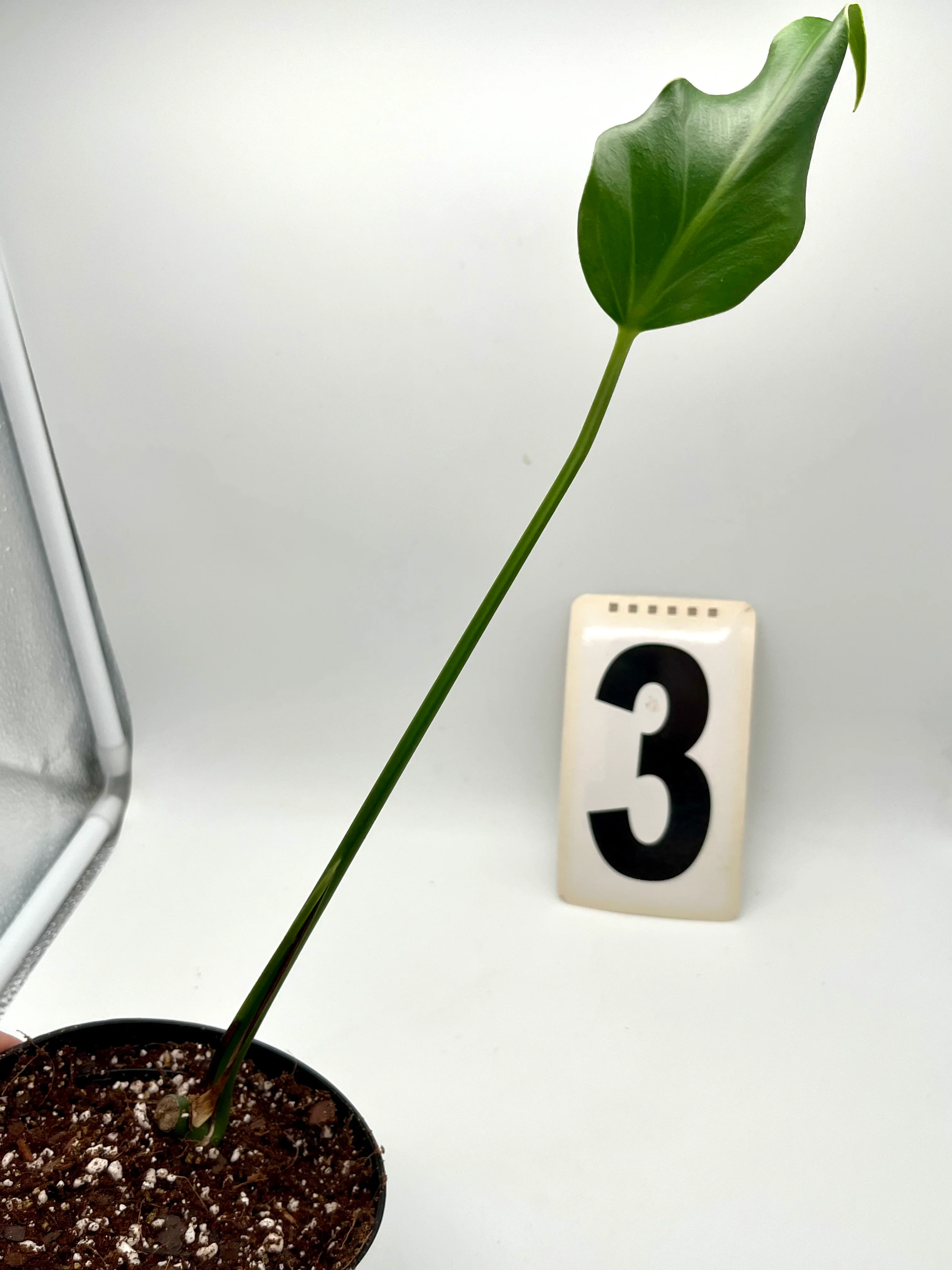 Produktbild 6