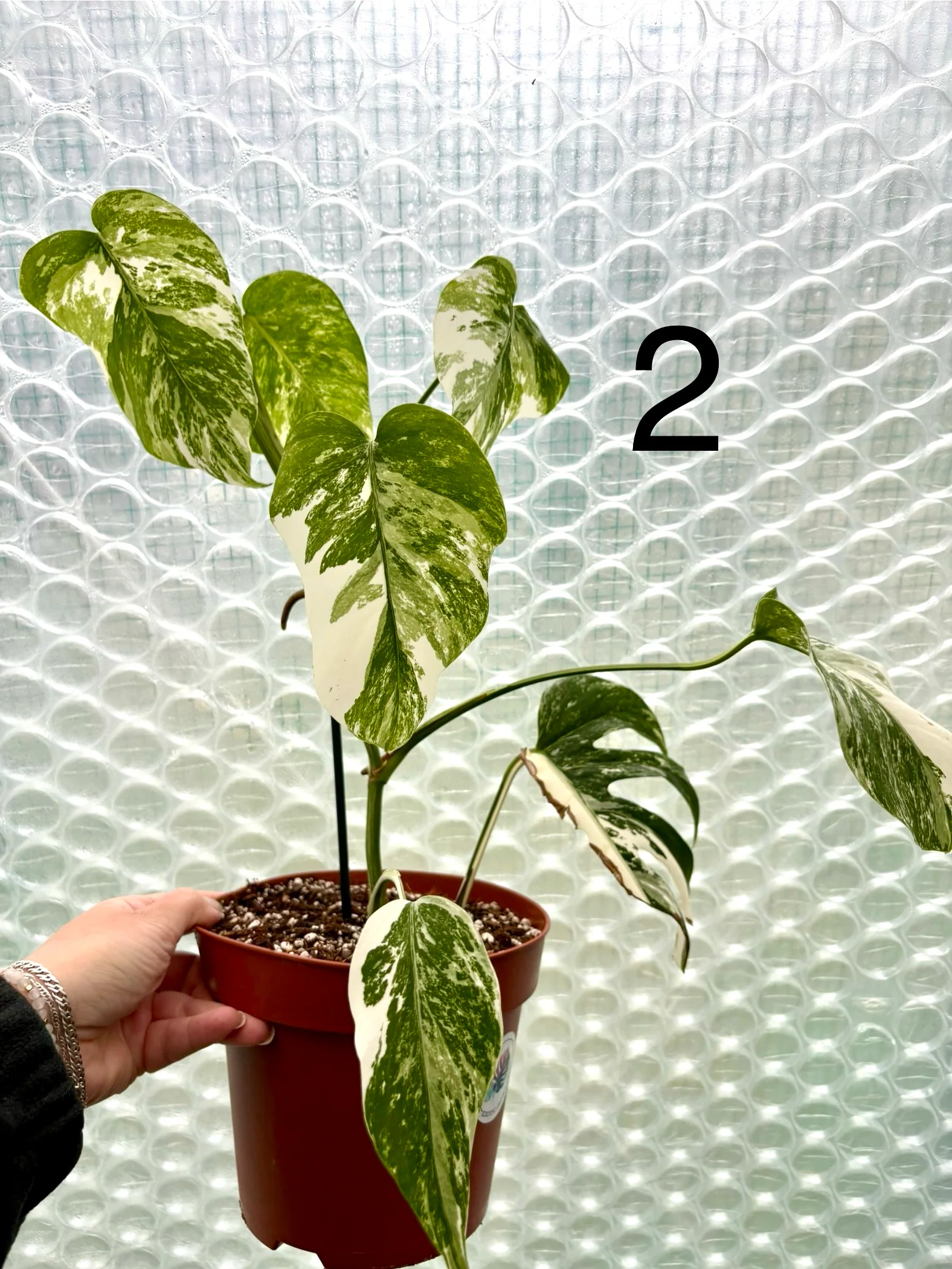 Produktbild 5