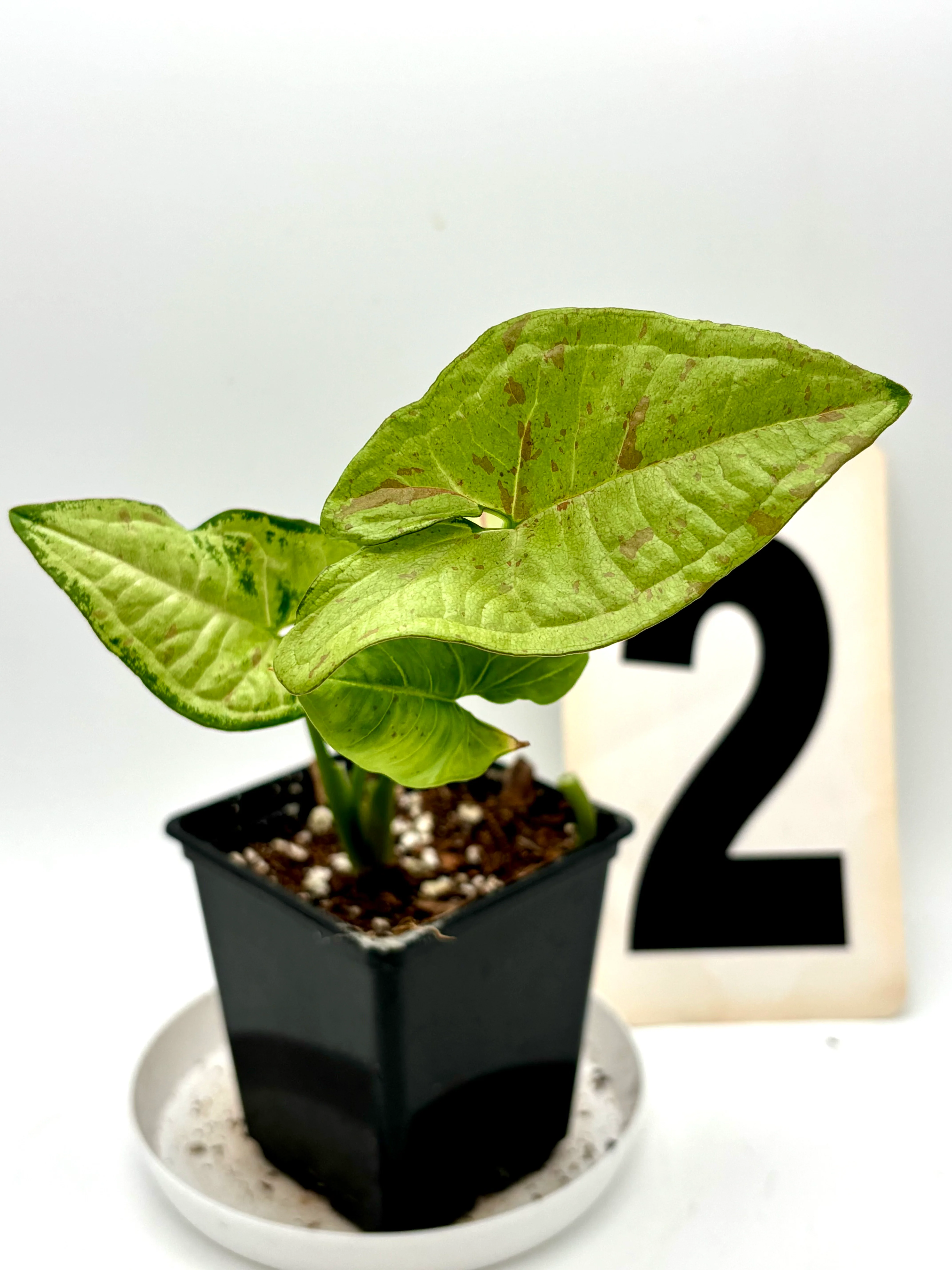 Produktbild 4